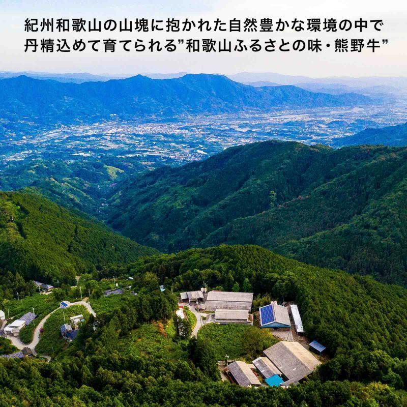 熊野牛 しゃぶしゃぶ極上肩 300g  (約2〜3人前)  |敬老の日 お歳暮 和歌山 熊野 紀州 肉 お肉 高級 ギフト プレゼント 贈答 自宅用 | 熊野肉 | 06