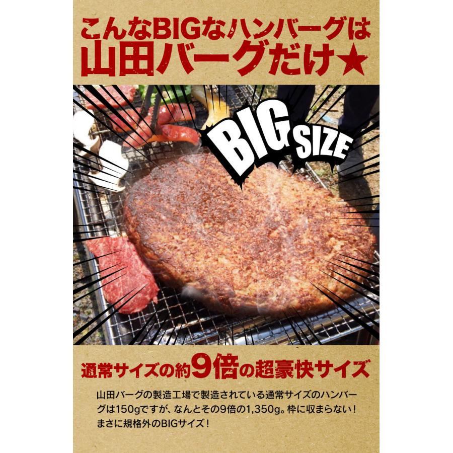 山田バーグ 1350g  |敬老の日 お歳暮 和歌山 熊野 紀州 肉 お肉 高級 ギフト プレゼント 贈答 自宅用 | 熊野肉 | 01