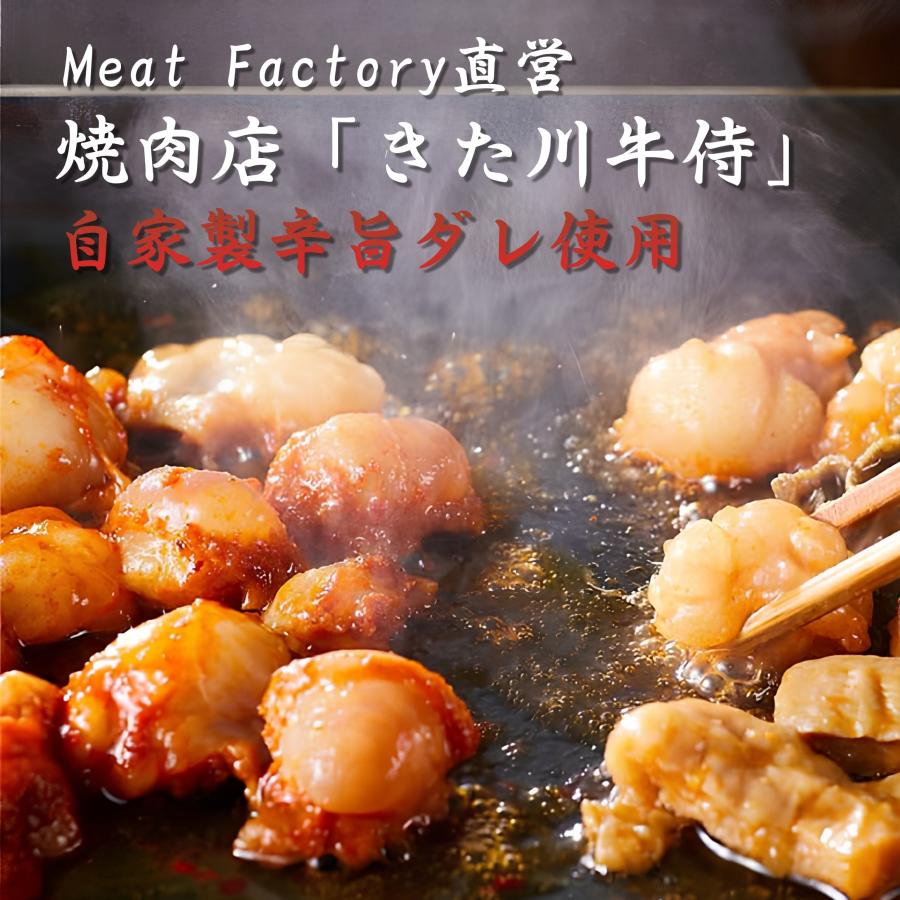やみつき辛旨ホルモン　400g(200g×2P) | 熊野肉 | 01