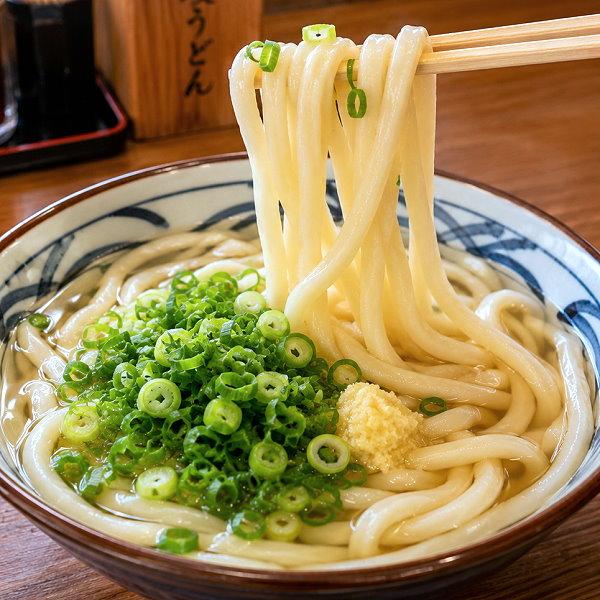 冷凍 さぬきうどん 230g×5食入 包丁切り 讃岐うどん 本場のうどん