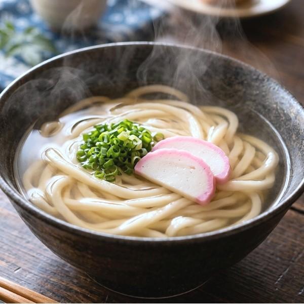 冷凍 さぬきうどん 230g×5食入 包丁切り 讃岐うどん 本場のうどん