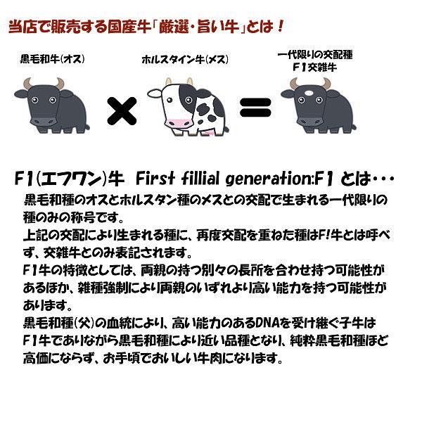 国産 牛肉 切り落とし肉１kg こま切れ 小間切れ はしっこ 端っこ 訳あり わけあり商品 【送料無料】(沖縄・北海道は別途送料要)｜meatpiasanuki｜03