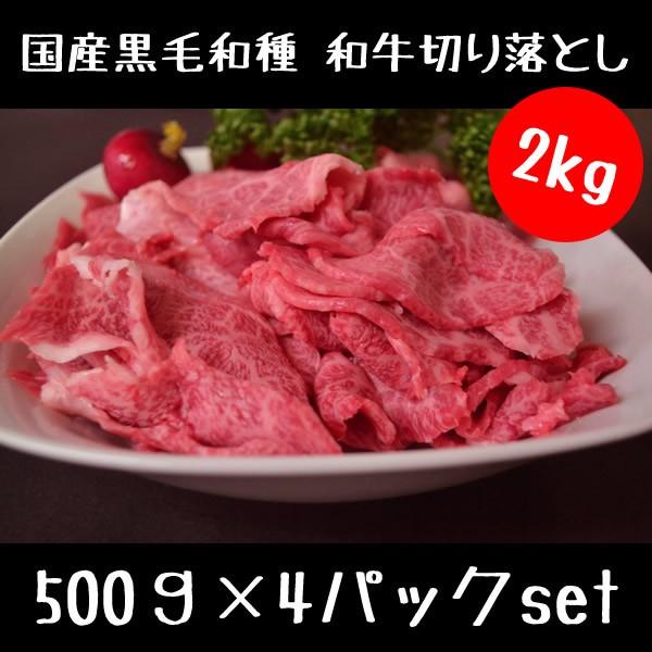 日本全国送料無料 牛肉 和牛 切り落とし 500ｇ 4パック セット 2キロ 焼肉 すき焼き スライス 肉 真空パック 新しい到着 Www Muslimaidusa Org