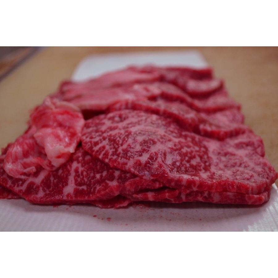 注文割引 牛肉 和牛 バーベキュー 焼肉 カルビ 800g スライス セット Wantannas Go Id