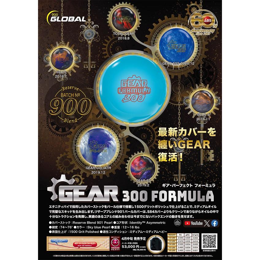 ギア パーフェクト フォーミュラ 900GLOBAL / GEAR 300 FORMULA｜mebius-store｜03