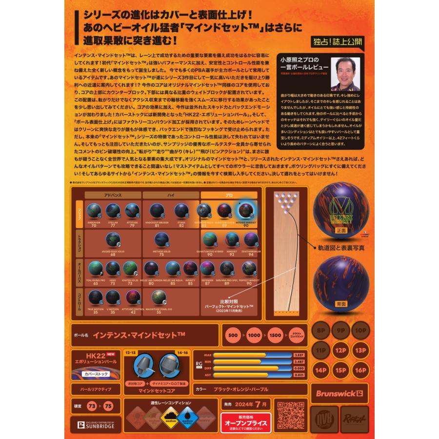 SALE】インテンス マインドセット ブランズウィック Brunswick SALE】インテンス マインドセット ブランズウィック Brunswick