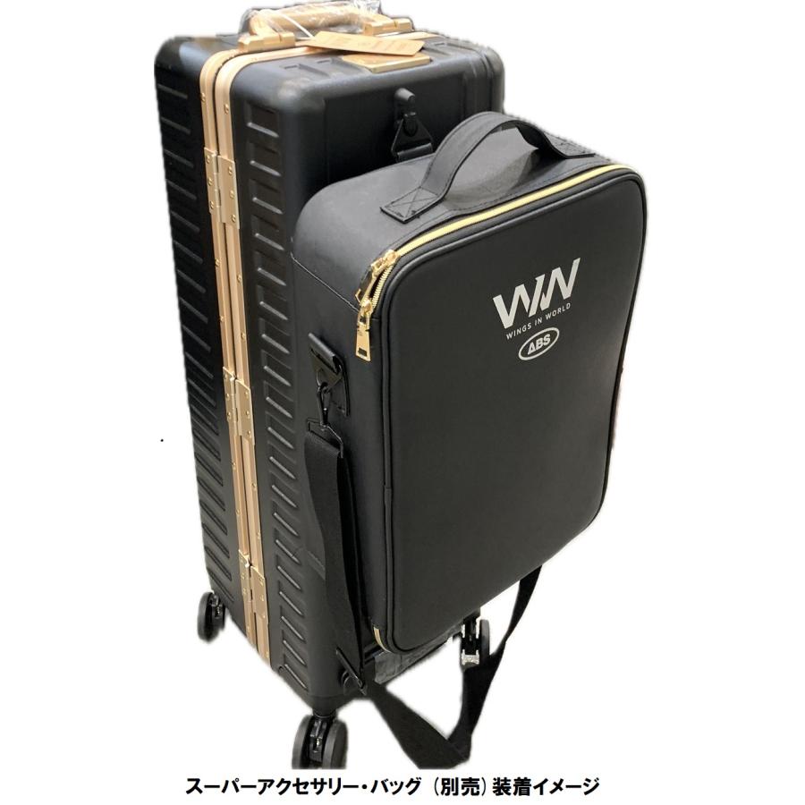 WIW 3ボールハードキャリーコンパクト 2026Model / ABS