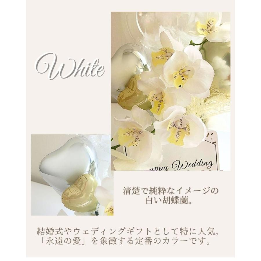 胡蝶蘭 ミディアムサイズ バルーンギフト ミディアム 推し活 開店祝い