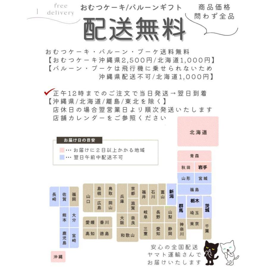 胡蝶蘭 ミディアムサイズ バルーンギフト ミディアム 推し活 開店祝い