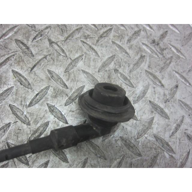 イギリス製　ガーゴイルＥ 楽天市場】ガーデニング ガーデン 雑貨 ストーン製 『English