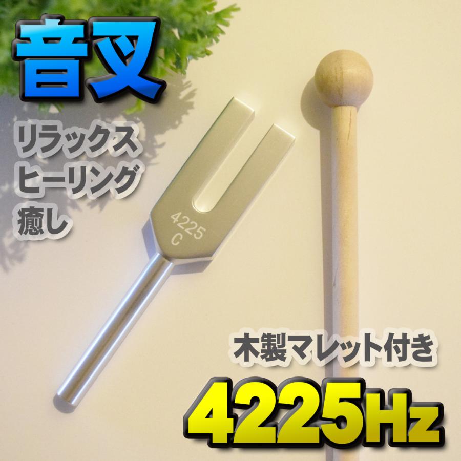 音叉9本セット 音叉セラピー マレット付