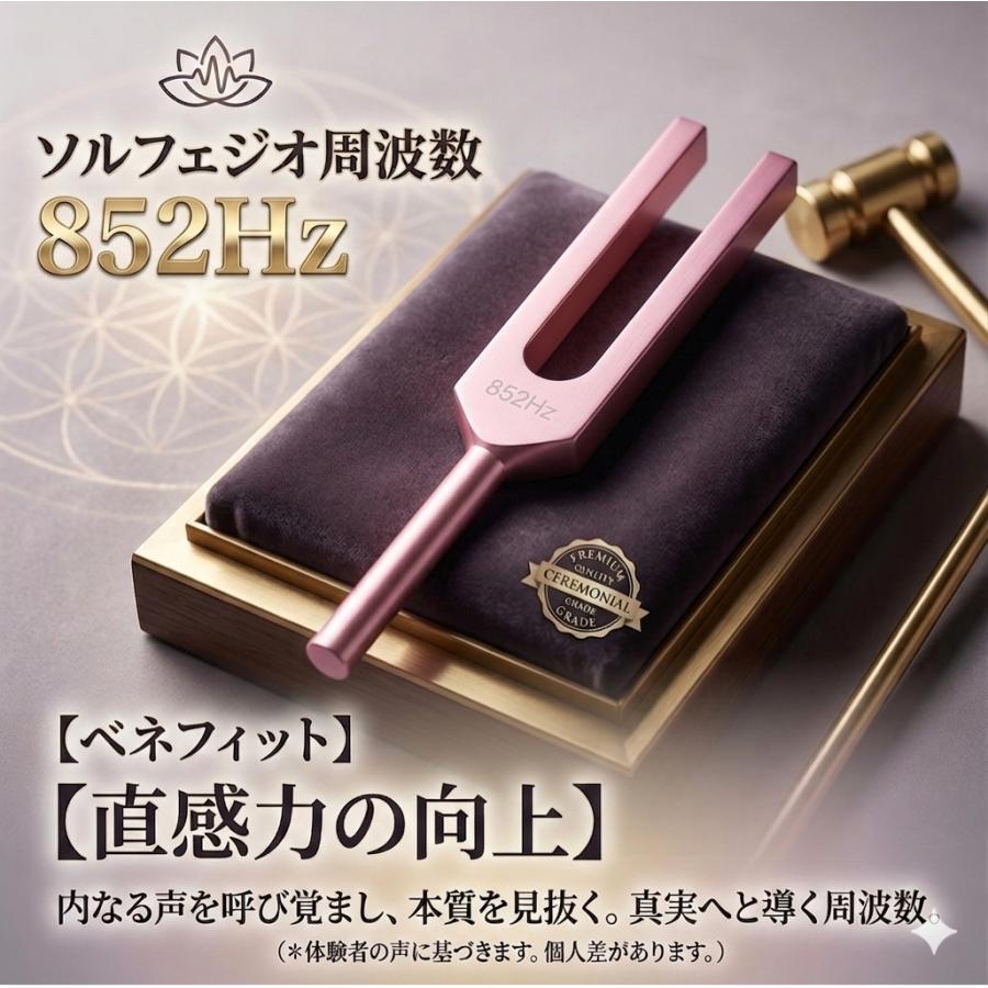 ソルフェジオ周波数「852Hz」【効果:直感力の向上】 音叉 おんさ