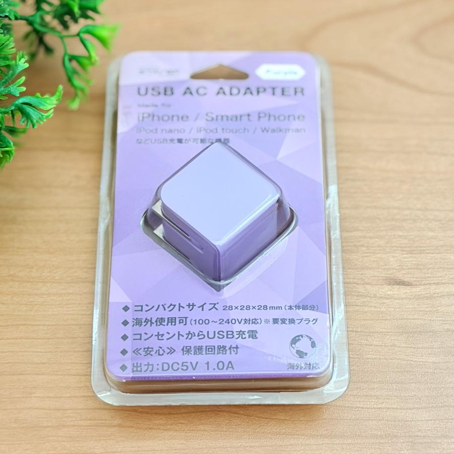 PSE認証済】 STAYER USB ACアダプター 5V 1A 小型 折りたたみプラグ