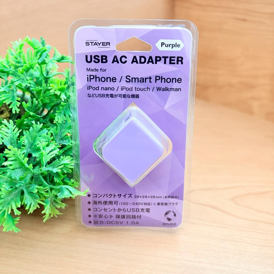 PSE認証済】 STAYER USB ACアダプター 5V 1A 小型 折りたたみプラグ