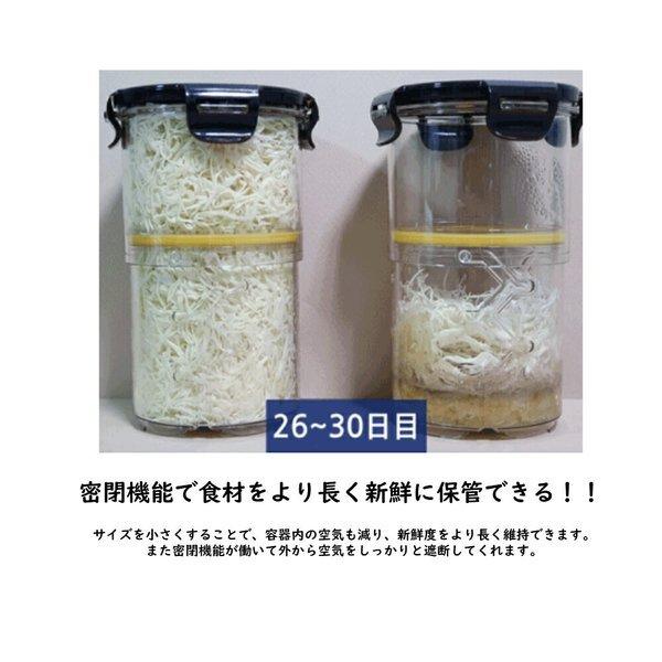 最大77%OFFクーポン パズルロック サイズ可変密封容器 S M各10個セット