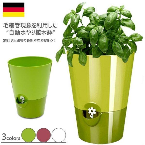 自動水やりポット フレッシュハーブポット 外出 枯れない 植木 鉢 軽量 プランター 花 栽培 プレゼント ギフト 乾燥防止 花 母の日 クリスマス ガーデニング A3405 めちゃsmart 通販 Yahoo ショッピング