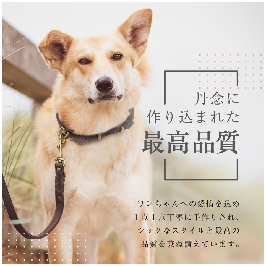 犬用首輪+リード XSサイズ トイプードル ポメラニアン MOLLY&STITCH