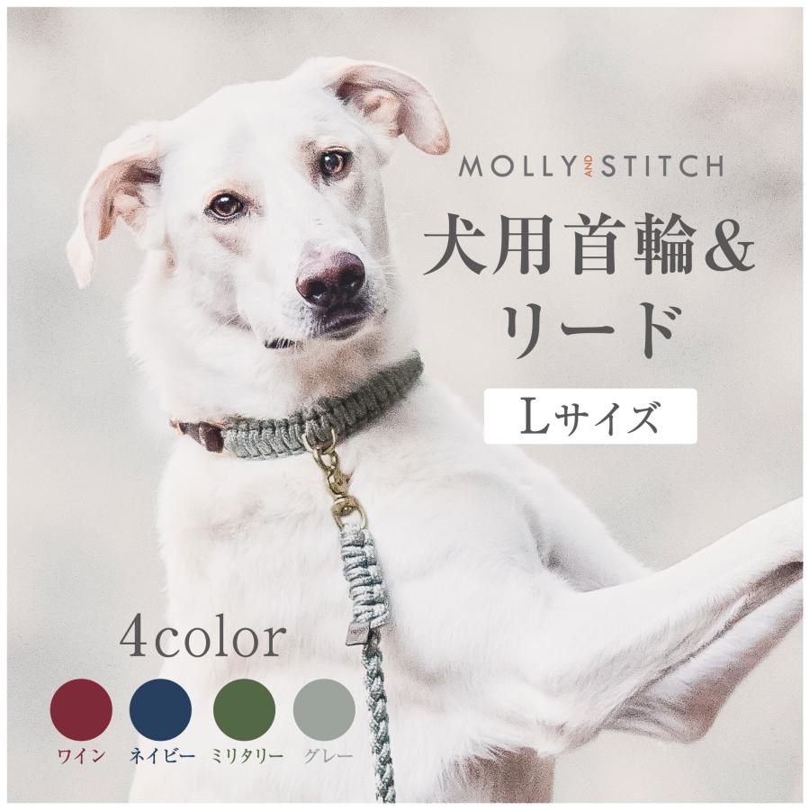 犬用首輪+リード Lサイズ ダルメシアン ボクサー MOLLY&STITCH TOUCH