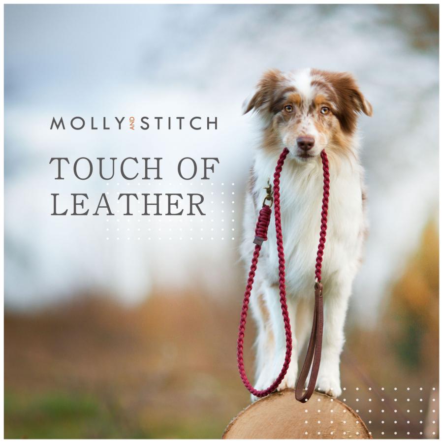 【大幅お値下げ】CHEVAL BLANC グレー レザーリードと首輪セット 犬用首輪+リード Mサイズ 柴犬 ビーグル MOLLY&STITCH TOUCH OF