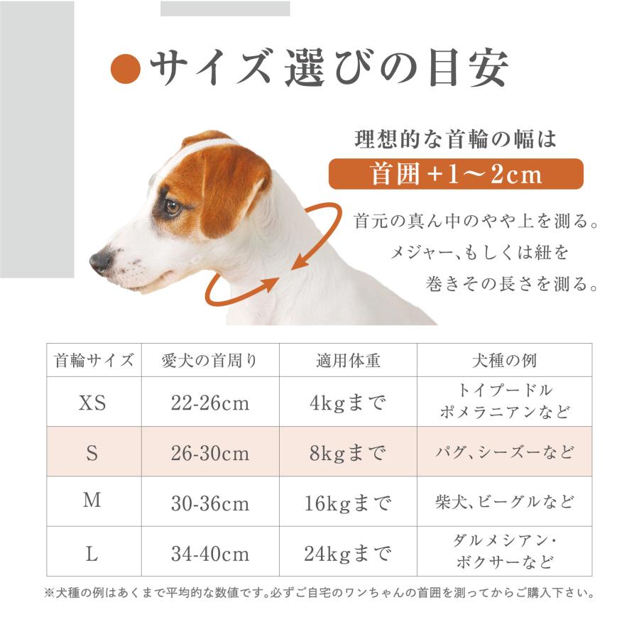 犬用首輪+リード Sサイズ パグ シーズー MOLLY&STITCH TOUCH OF