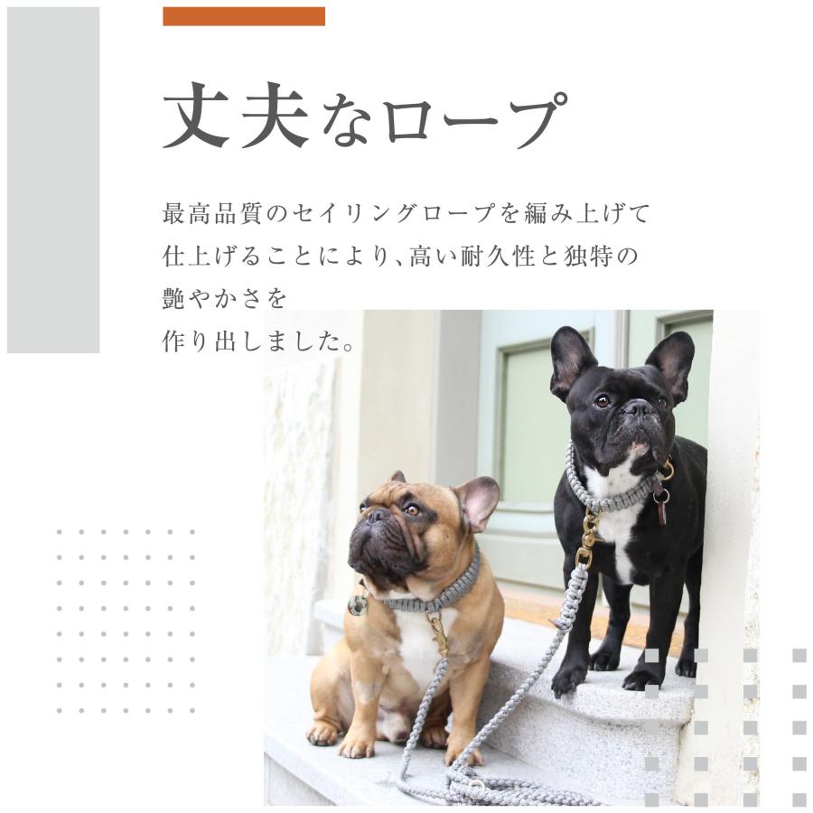 犬用首輪+リード Sサイズ パグ シーズー MOLLY&STITCH TOUCH OF