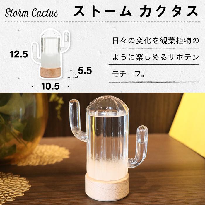 STORM CLOUD ストームクラウド ストームグラス クラウド ムーン