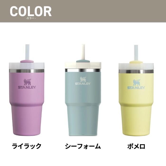 スタンレー STANLEY 真空スリムクエンチャー 0.6L ストロー付き 保冷 保温 蓋付き 水筒 マグボトル タンブラー 直飲み ステンレス アウトドア スポーツ 可愛い | STANLEY | 05