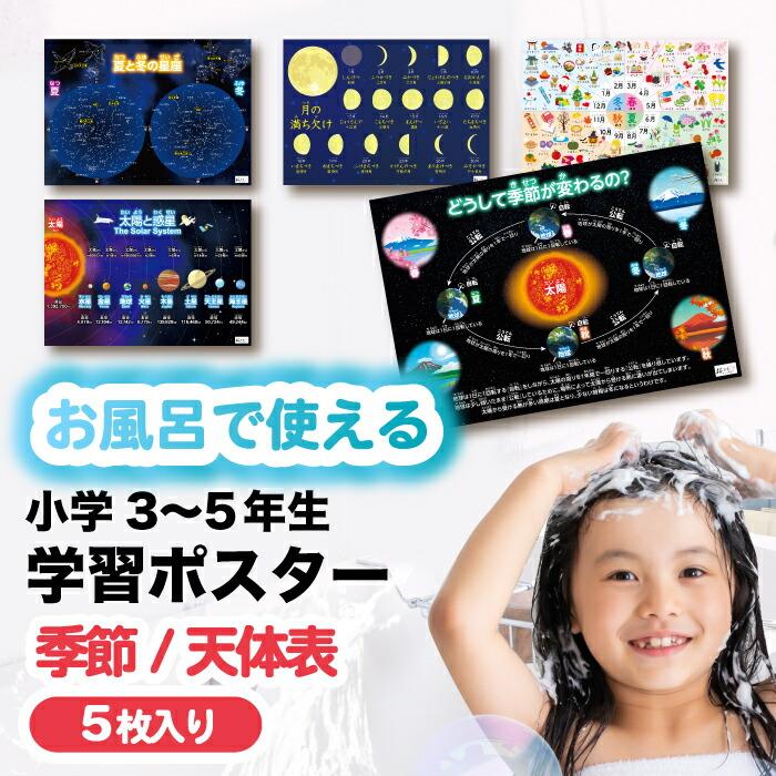 お風呂ポスター 知育 5枚セット 桜弥生 学習用ポスター 理科 日本の