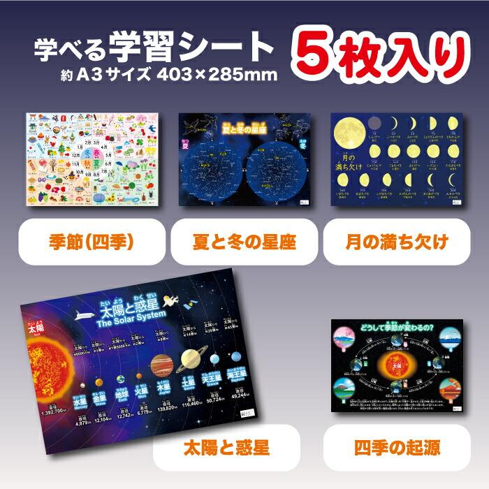 お風呂ポスター 知育 5枚セット 桜弥生 学習用ポスター 理科 日本の
