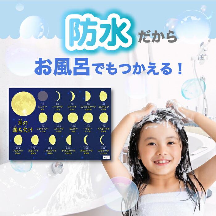 お風呂ポスター 知育 5枚セット 桜弥生 学習用ポスター 理科 日本の