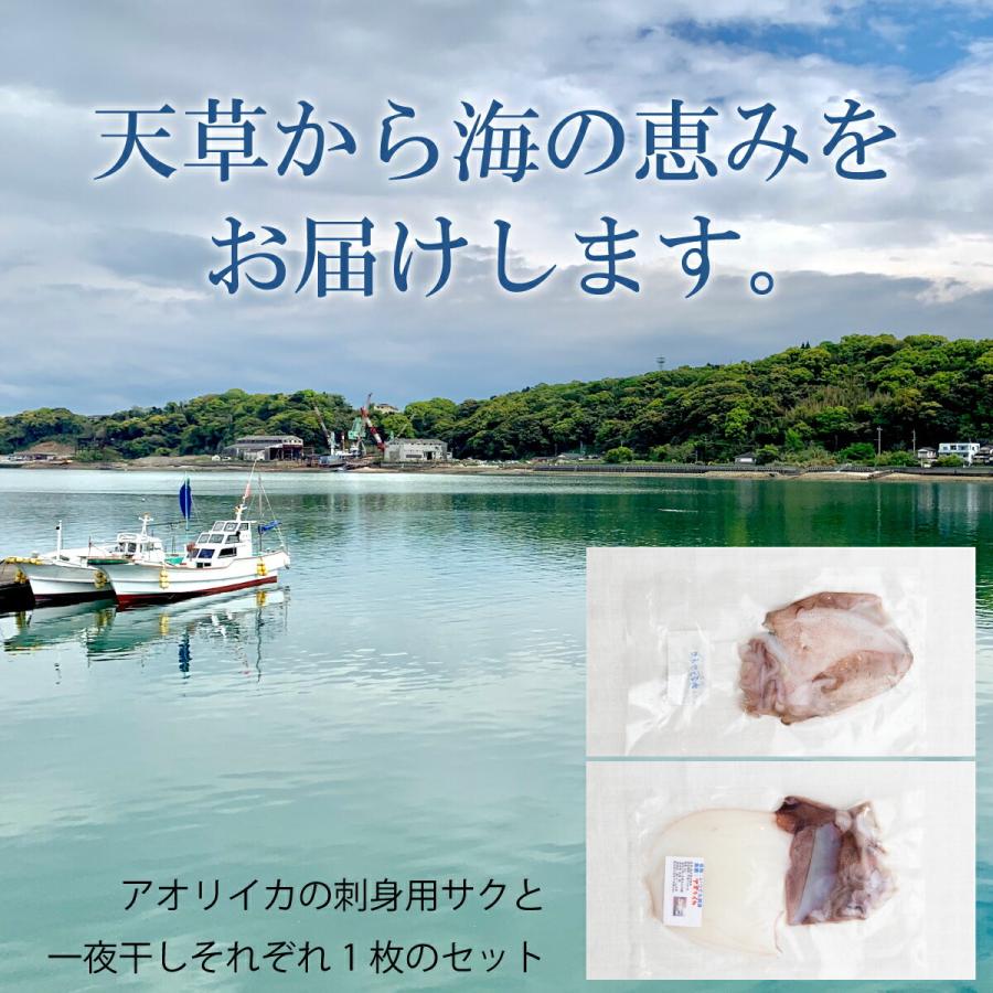 送料無料 産地直送 熊本県天草産 アオリイカ 一夜干し 刺身サク セット イカ刺し 刺身用 焼物用 冷凍 鮮度抜群 真空パック 家飲み キャンプ Amakusa Ika Mecu 通販 Yahoo ショッピング