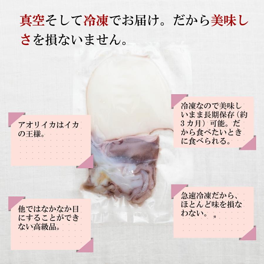 送料無料 産地直送 熊本県天草産 アオリイカ 一夜干し 刺身サク セット イカ刺し 刺身用 焼物用 冷凍 鮮度抜群 真空パック 家飲み キャンプ Amakusa Ika Mecu 通販 Yahoo ショッピング