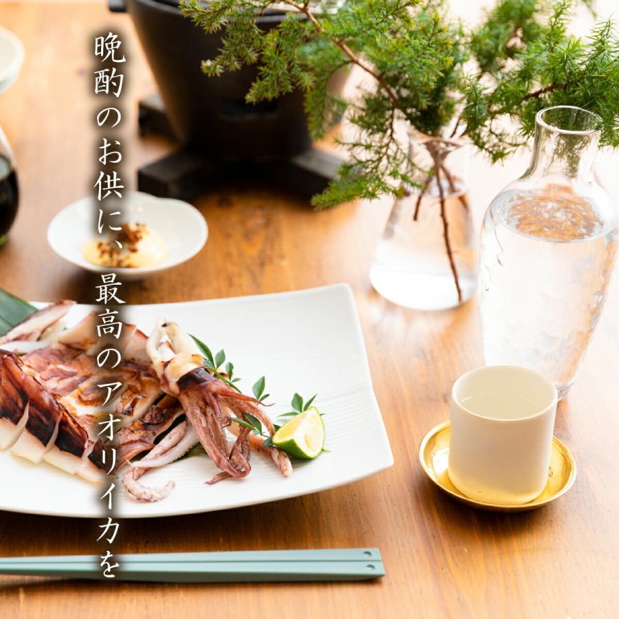 送料無料 産地直送 熊本県天草産 アオリイカ 一夜干し 刺身サク セット イカ刺し 刺身用 焼物用 冷凍 鮮度抜群 真空パック 家飲み キャンプ Amakusa Ika Mecu 通販 Yahoo ショッピング