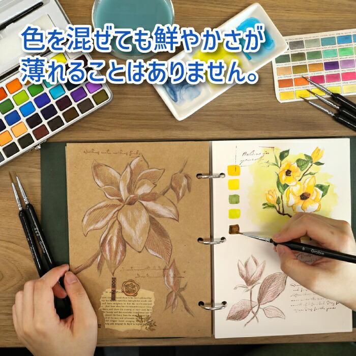 水彩画セット Amazon.co.jp: PHOENIX プロフェッショナル水彩絵具セット – 24色