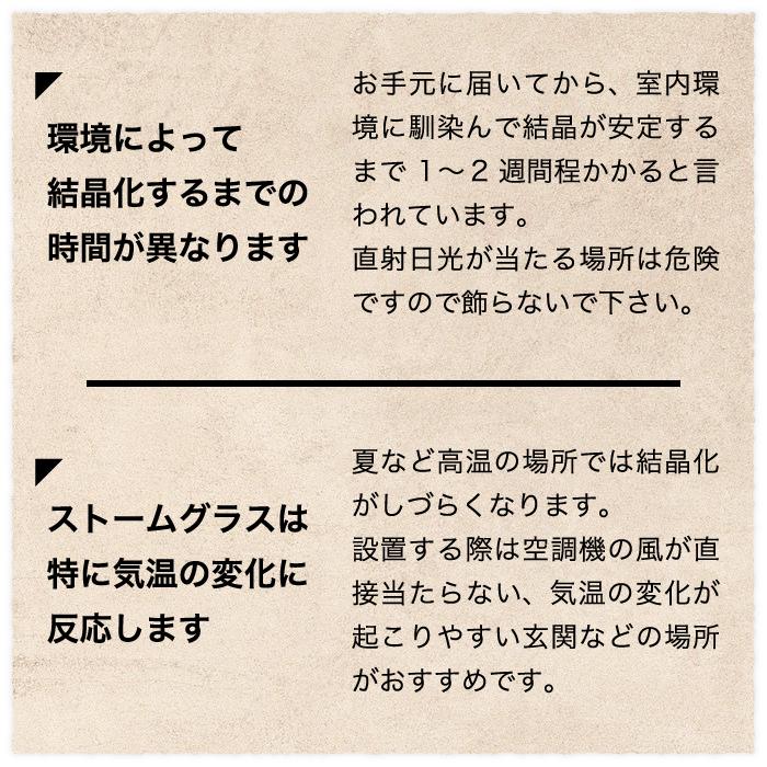 Tempo Drop テンポドロップ ミニ ストームグラス ガラス オブジェ インテリア雑貨 おしゃれ 天候予測器 天気予報 結晶 置物 飾り 気象計 晴雨予報 北欧 お祝い | 100percent | 07