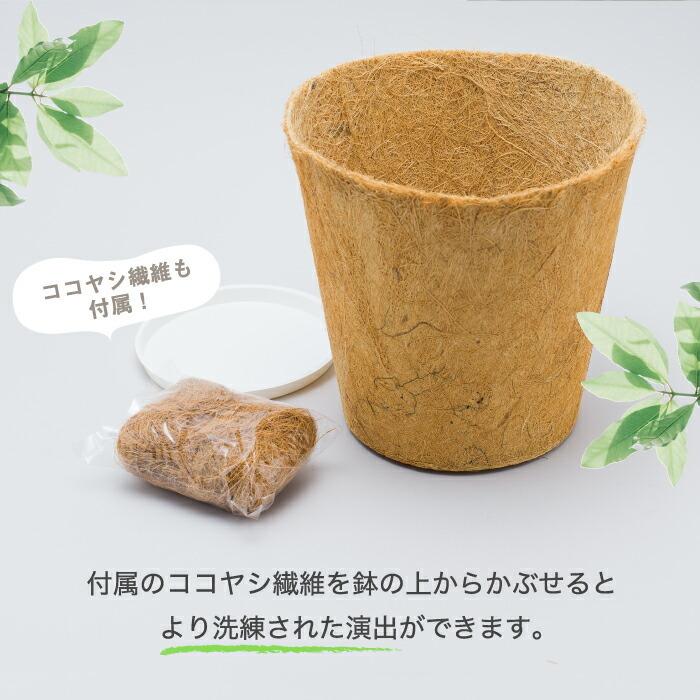 プランター おしゃれ アースポット M 2個セット プランターカバー