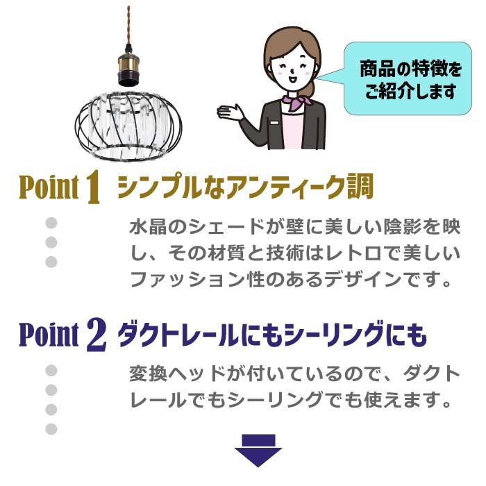 ペンダントライト 引掛シーリング 北欧風 E26口金 引掛け式 ダクト