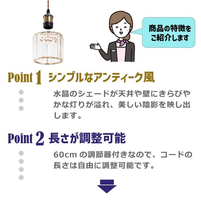 ペンダントライト 引掛シーリング 北欧風 E26口金 引掛け式 ダクト