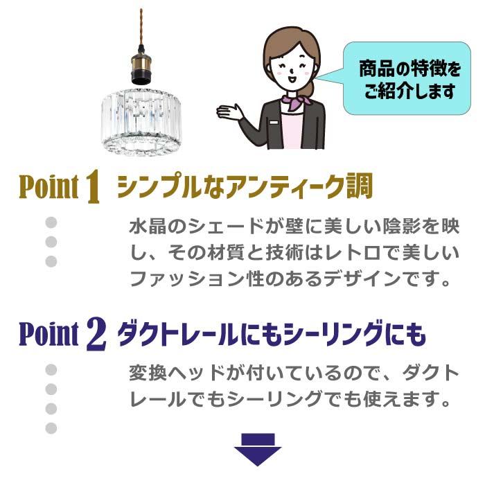 ペンダントライト 引掛シーリング 北欧風 E26口金 引掛け式 ダクト