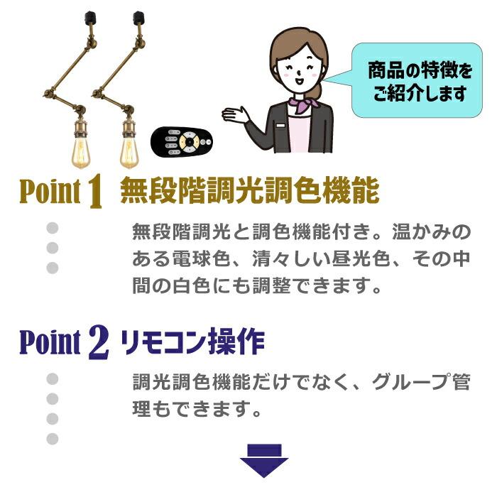 スポットライト ダクトレール用2個セット E26口金 電球付き 電球なし