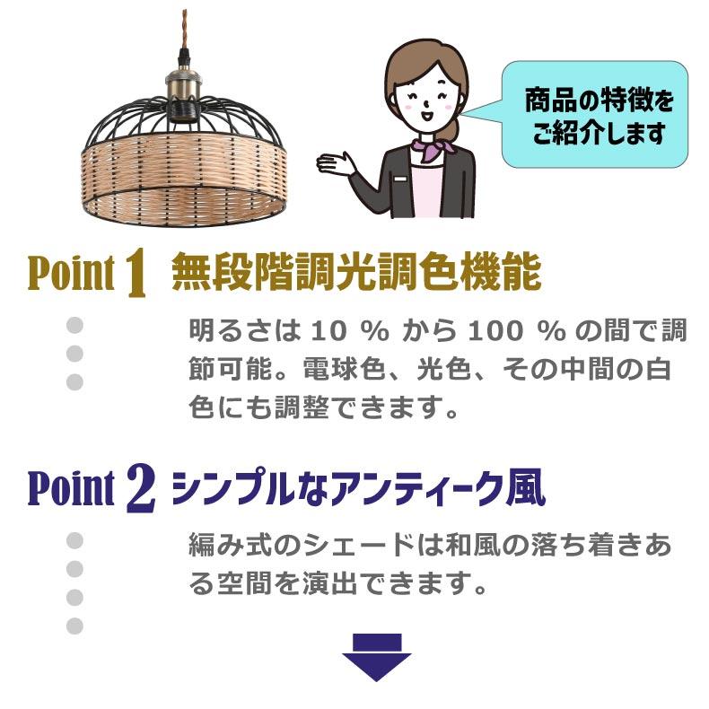 ペンダントライト E26口金 直径25CM 引掛け式 ダクトレール式 ペンダントライト 引掛シーリング 直径25CM E26口金 LED電球付き