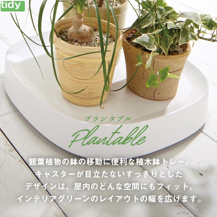 tidy プランタブル L キャスター付 植木鉢トレー 日本製 鉢皿 tidy プランタブル L キャスター付 植木鉢トレー 日本製 鉢皿