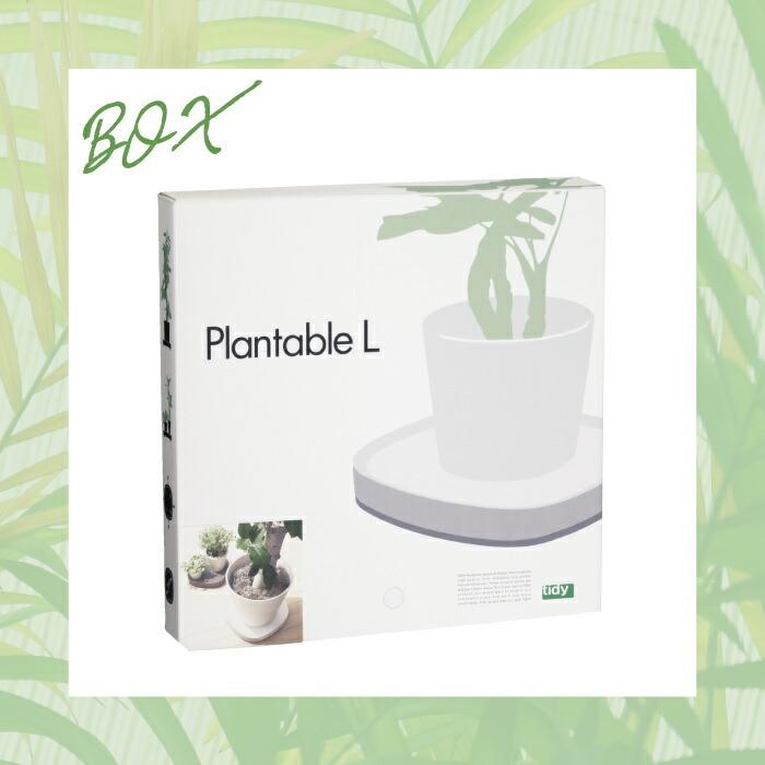 tidy プランタブル L キャスター付 植木鉢トレー 日本製 鉢皿 観葉植物