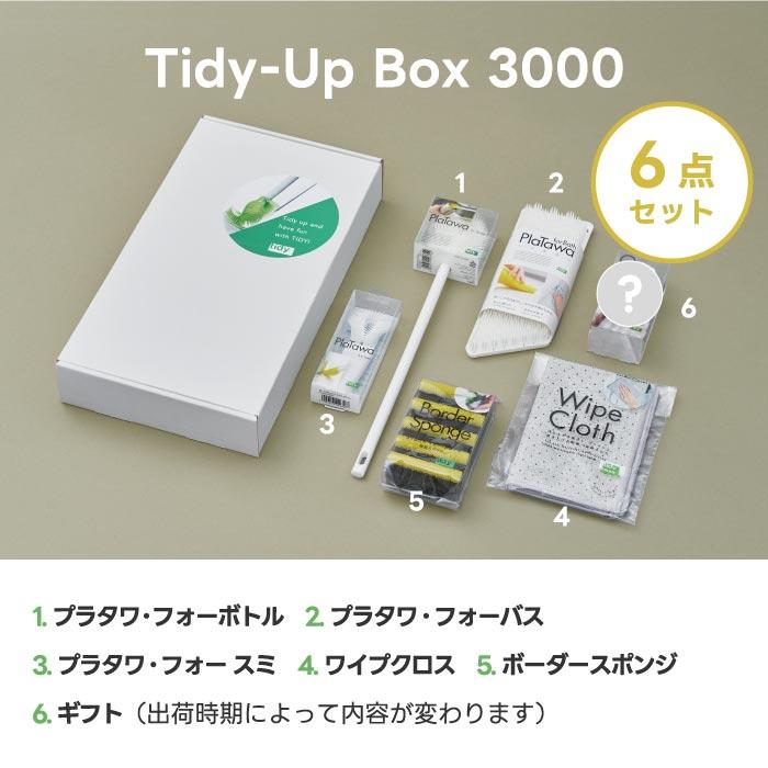 清掃用品 ギフトボックス 6点 8点セット tidy タイディーアップ