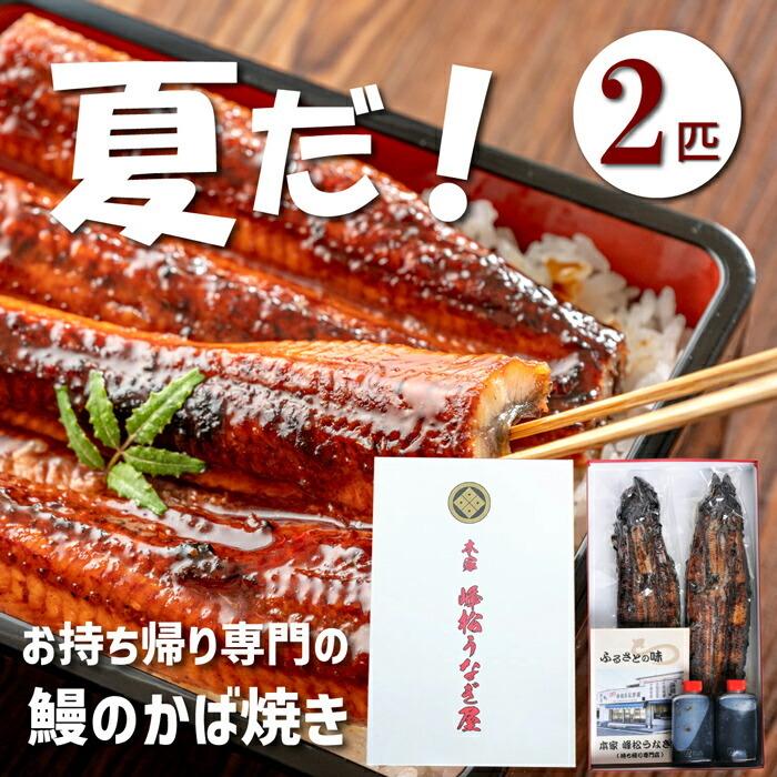 【産地直送】うなぎの蒲焼 2匹入 佐賀県 峰松うなぎ屋 鰻蒲焼き 2人前 3人前 鰻の蒲焼き 蒲焼 国産うなぎ蒲焼き 2尾 ウナギの蒲焼き うな重 夏ギフト お中元