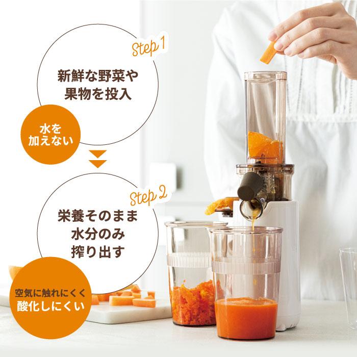 recolte ミニスロージューサー レコルト コールドプレス recolte ミニスロージューサー レコルト コールドプレス