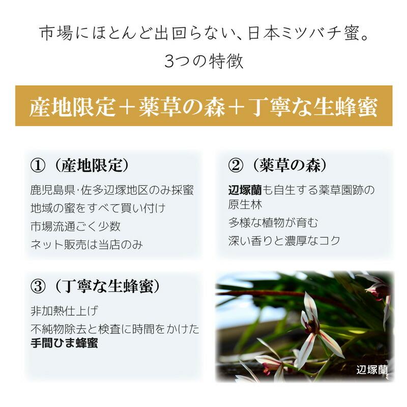 はちみつ 日本ミツバチ 蜂蜜 国産 非加熱 生はちみつ 鹿児島 120g 450g