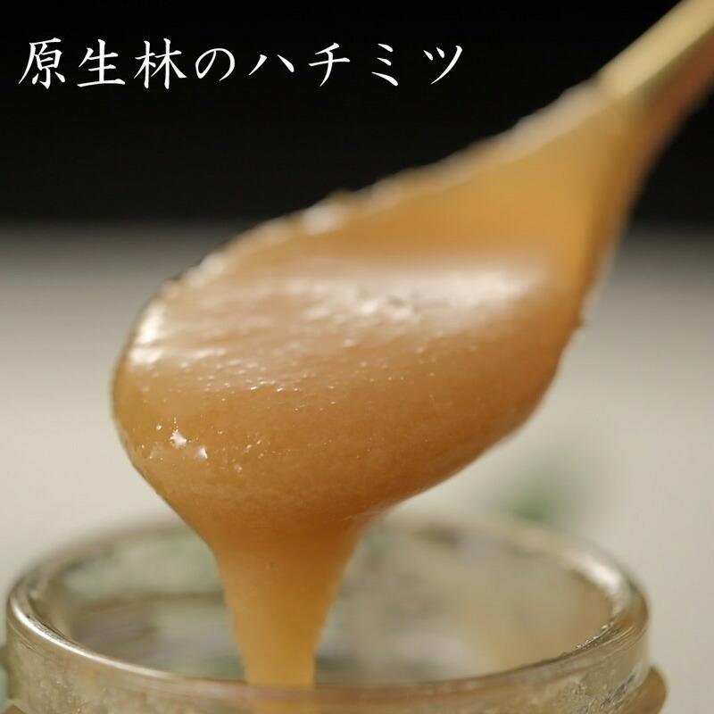 はちみつ 日本ミツバチ 蜂蜜 国産 非加熱 生はちみつ 鹿児島 120g 450g