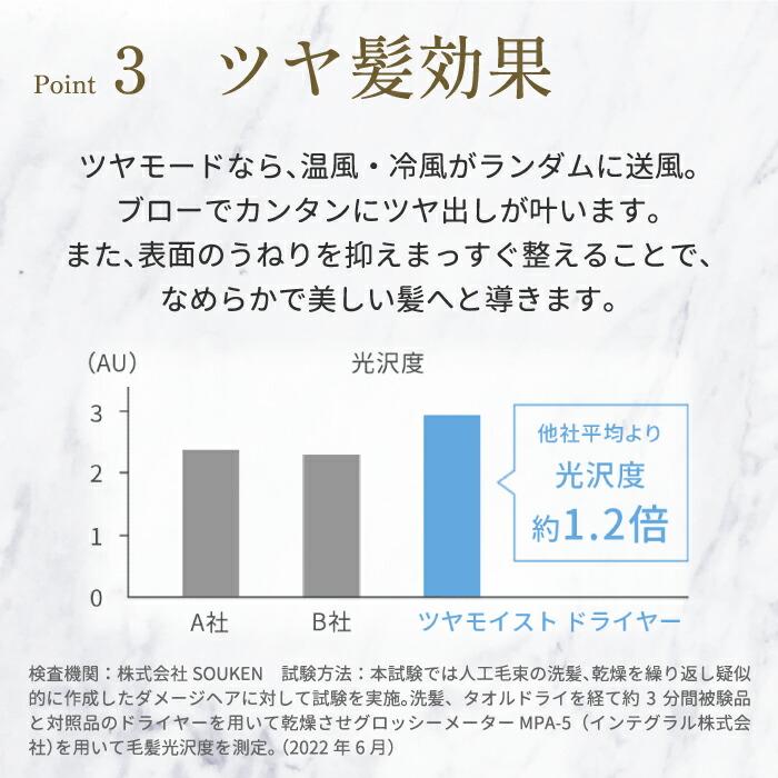 FESTINO（フェスティノ） ツヤモイスト ドライヤー 大風量 速乾