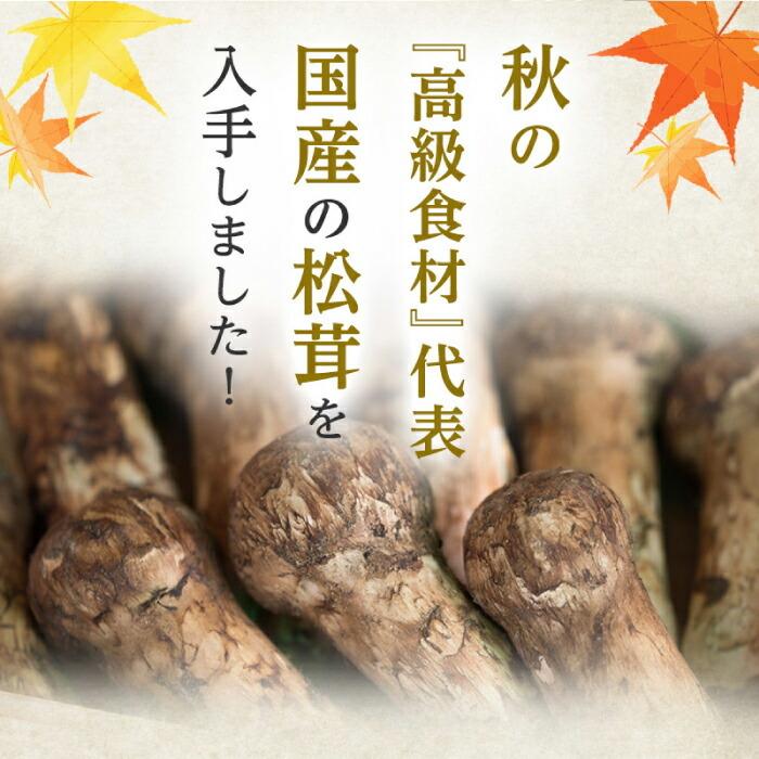 B　松茸　マツタケ　長野県産　信州産　国産 楽天市場】長野県産 松茸 200g 国産 長野 香り高い信州産 天然